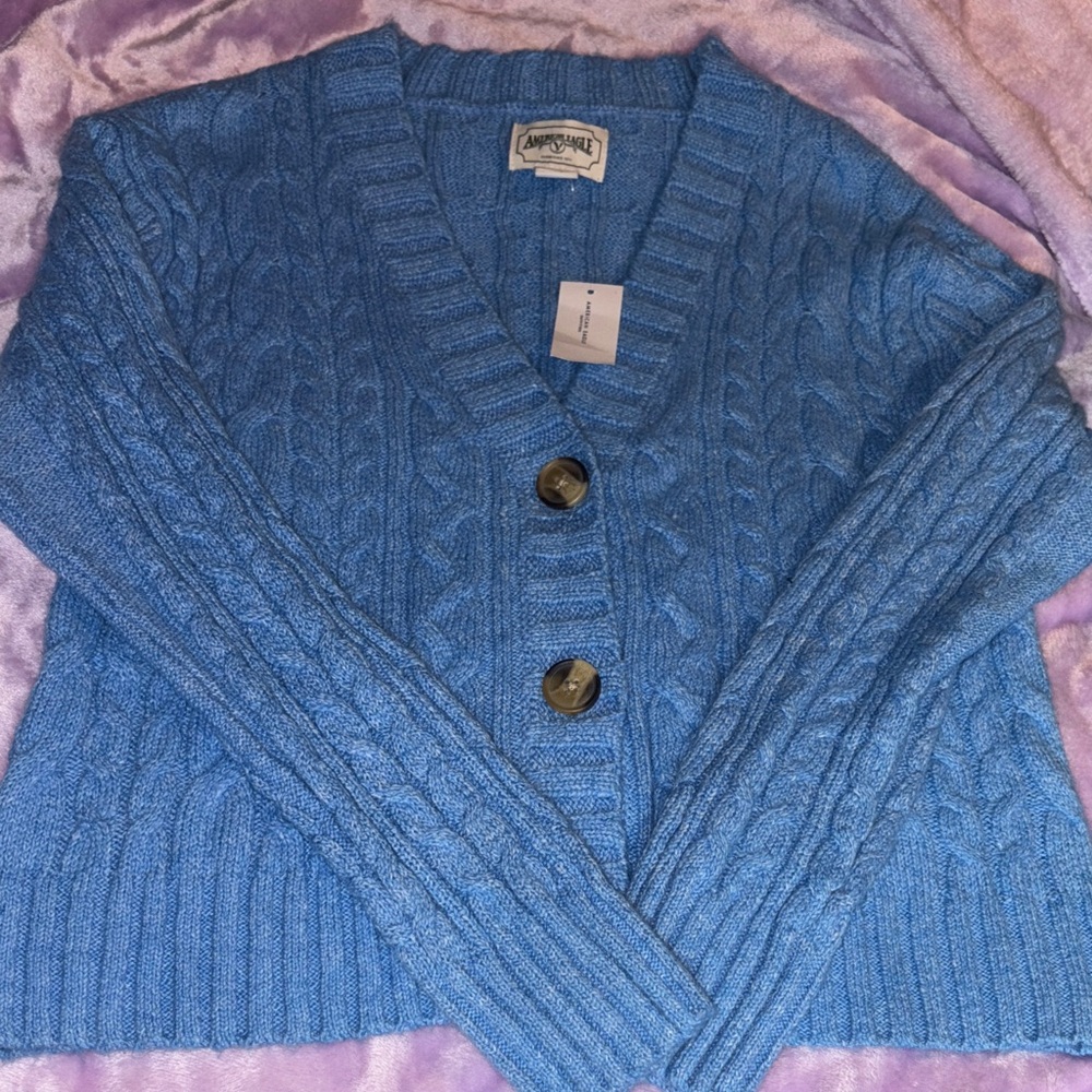 American Eagle Outfitters Blue Button-Up Cardigan